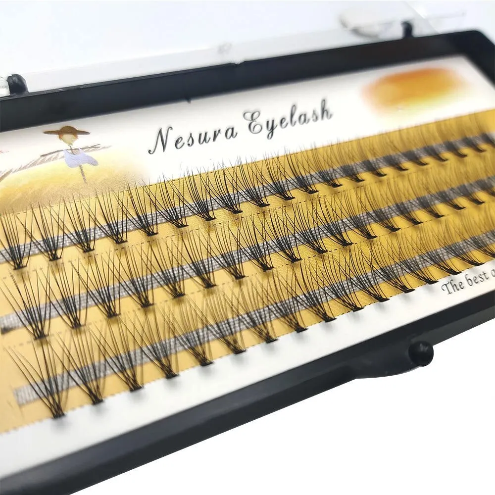 10D volume cluster eyelashes premade fans, C-0.07 (60 pieces)