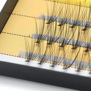 10D volume cluster eyelashes premade fans, C-0.07 (60 pieces)