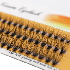10D volume cluster eyelashes premade fans, C-0.10 (60 pieces)