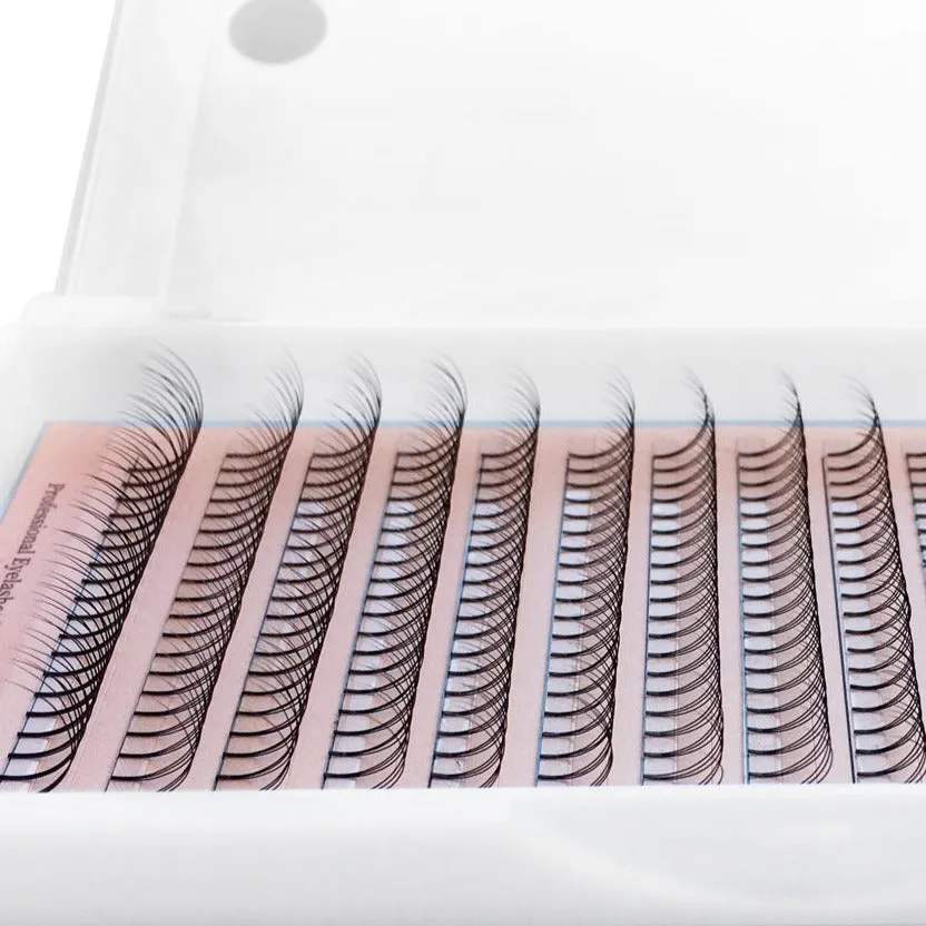 3D premade volume Eyelash Extensions fans, C/0.07/MIX