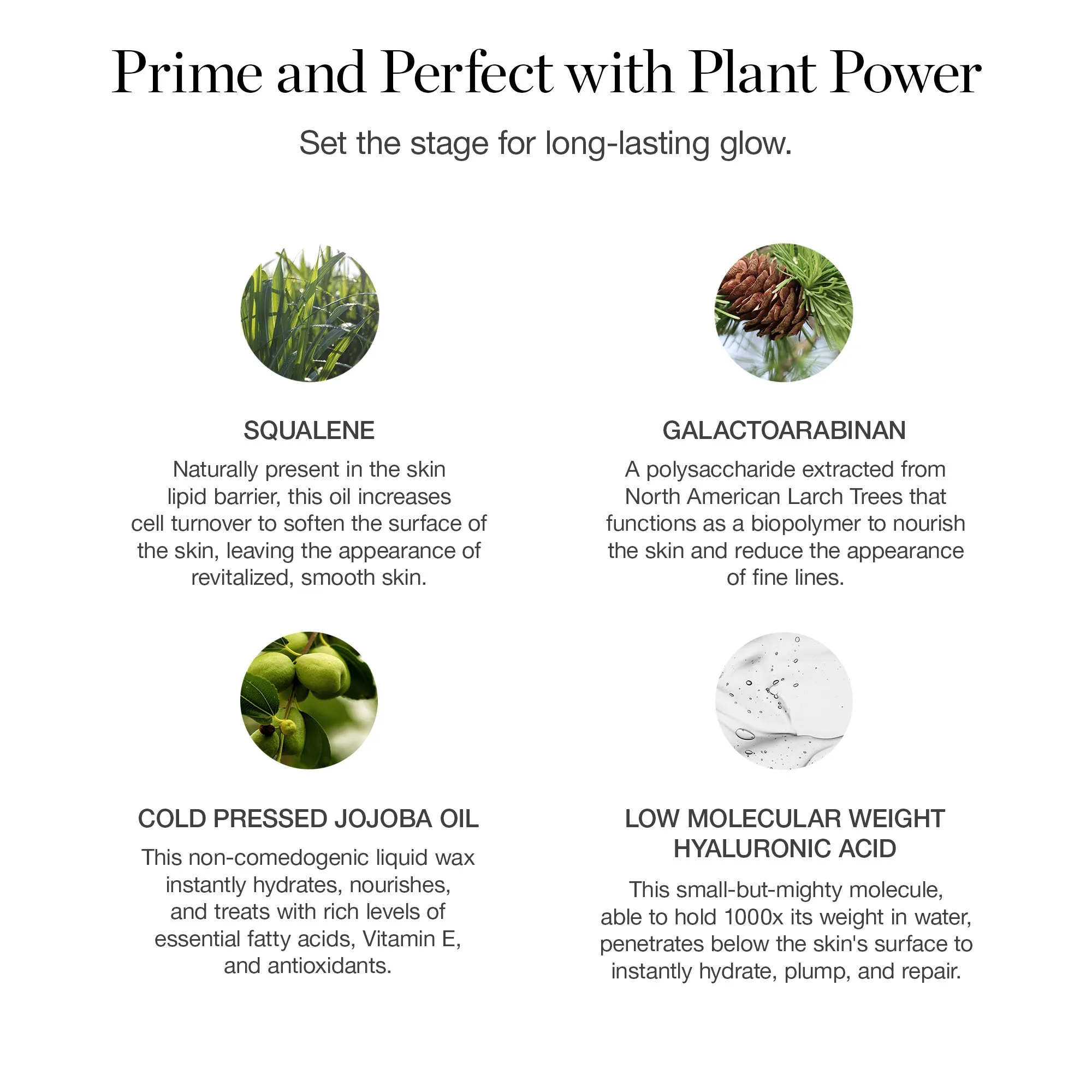 Activated Botanical Primer Ogee