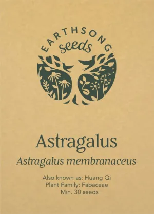 Astragalus Seed Pack