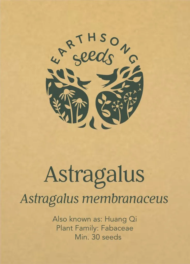 Astragalus Seed Pack