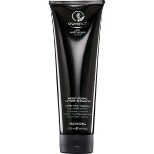 Awapuhi Wild Ginger Moisturizing Lather Shampoo by Paul Mitchell