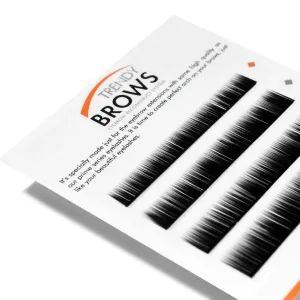 Beautier Trendy eyebrow & lower lashes extensions, 0.07 BLACK