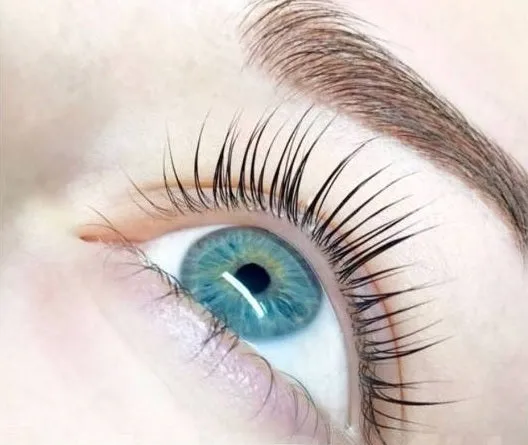 BioHenna BOTOXX for eyebrows and eyelashes treatment, 10 ml