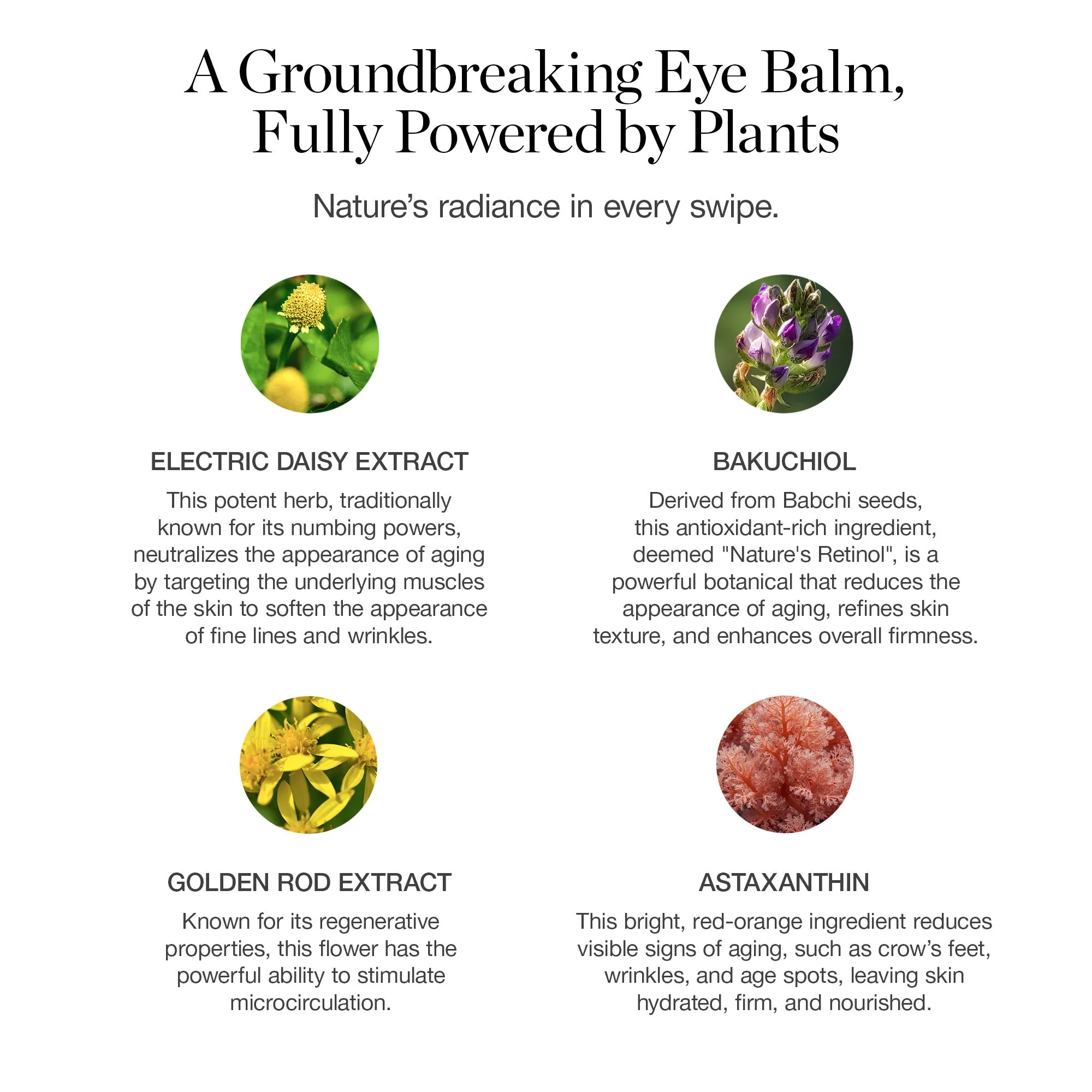 Brightening Botanical Eye Balm Ogee