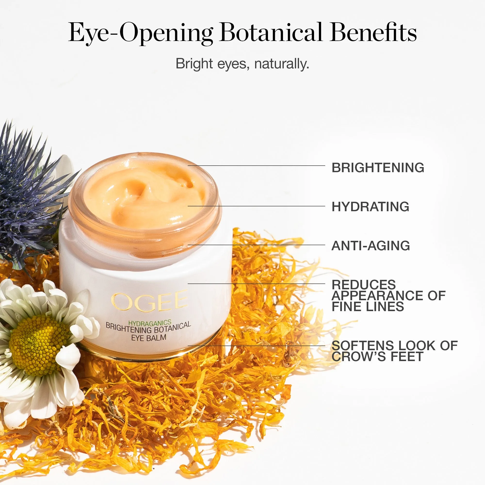 Brightening Botanical Eye Balm Ogee