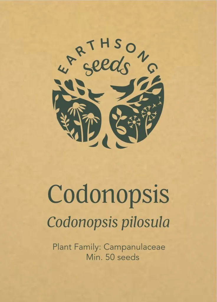 Codonopsis Seed Pack