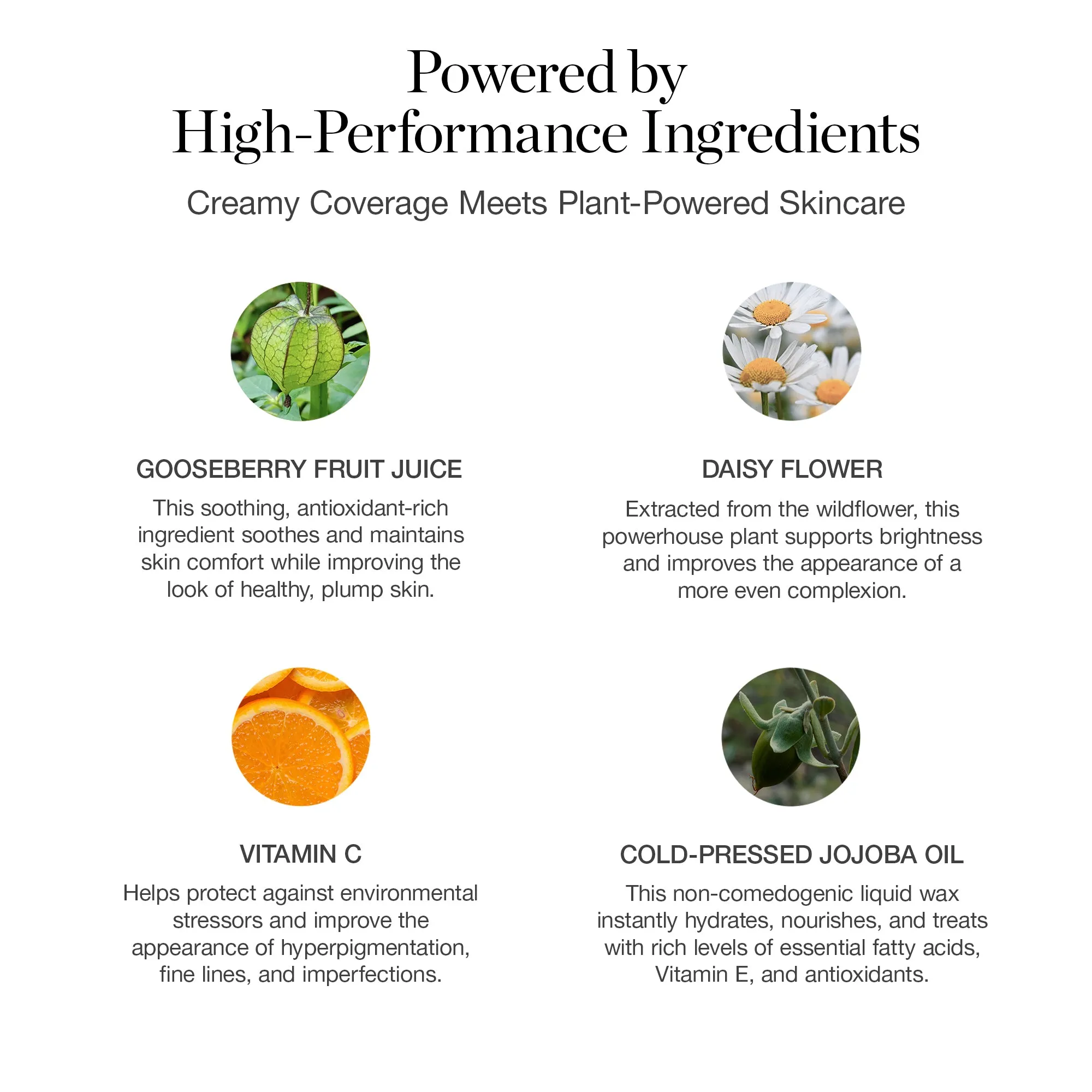 Complexion Perfecting Tinted Serum Ogee