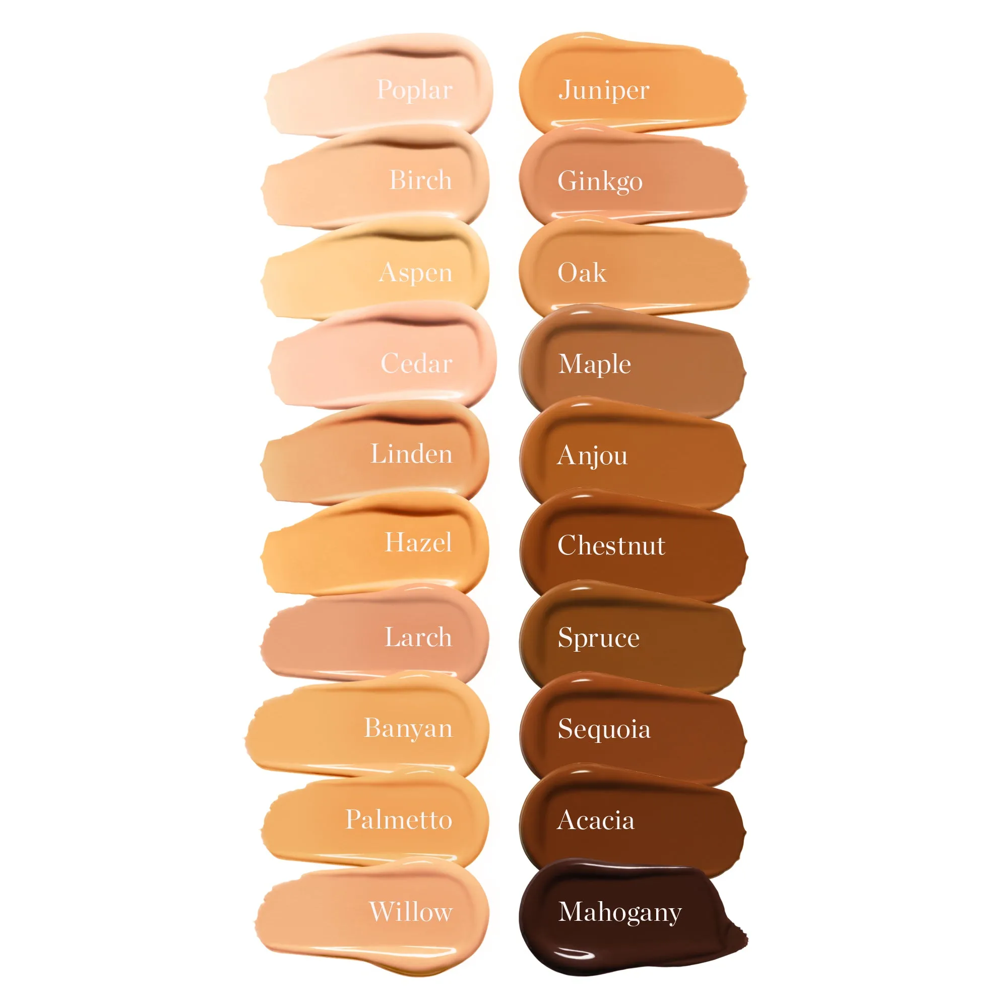 Complexion Perfecting Tinted Serum Ogee