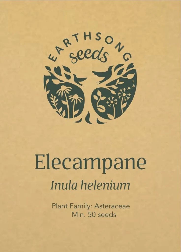Elecampane Seed Pack