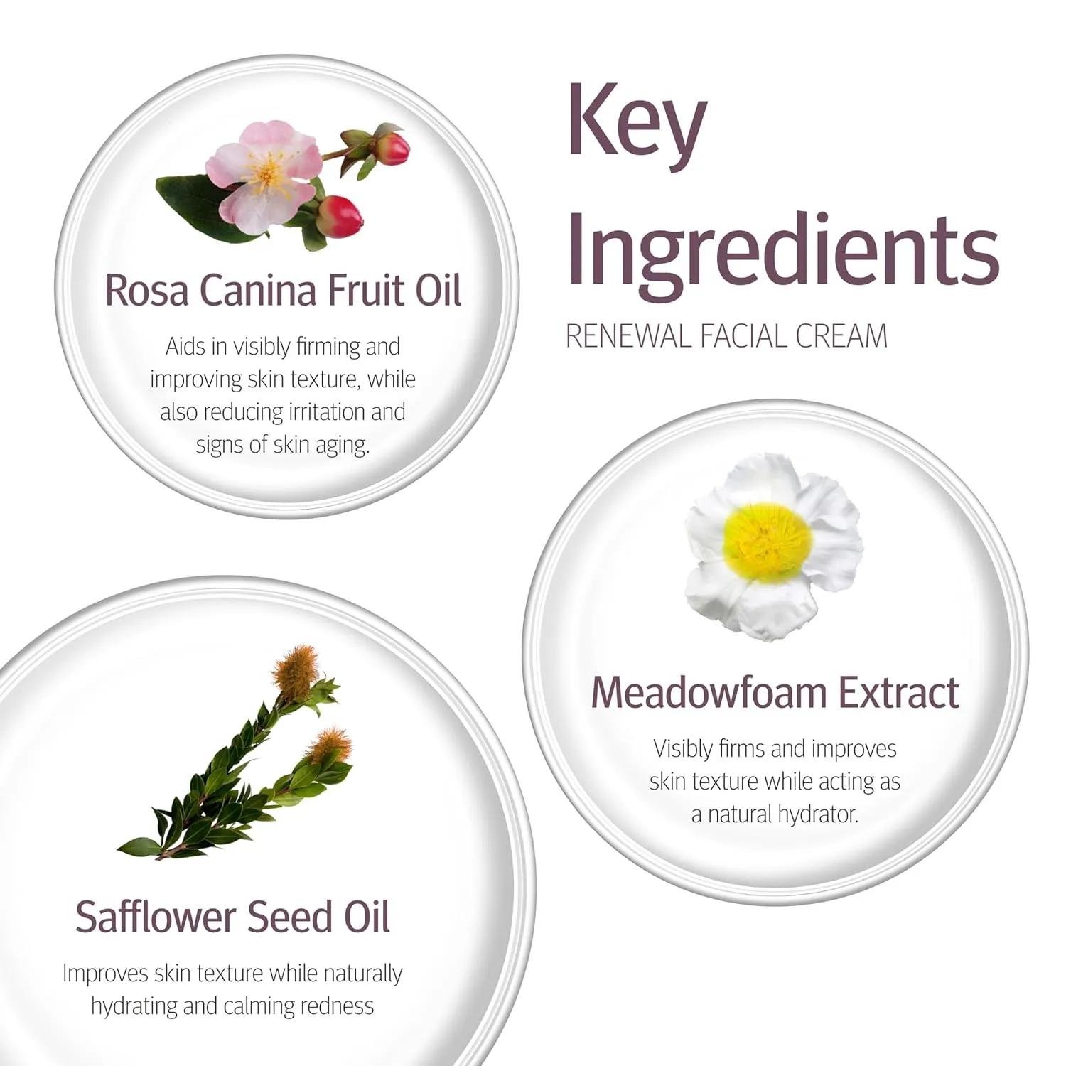 Epionce Renewal Facial Cream