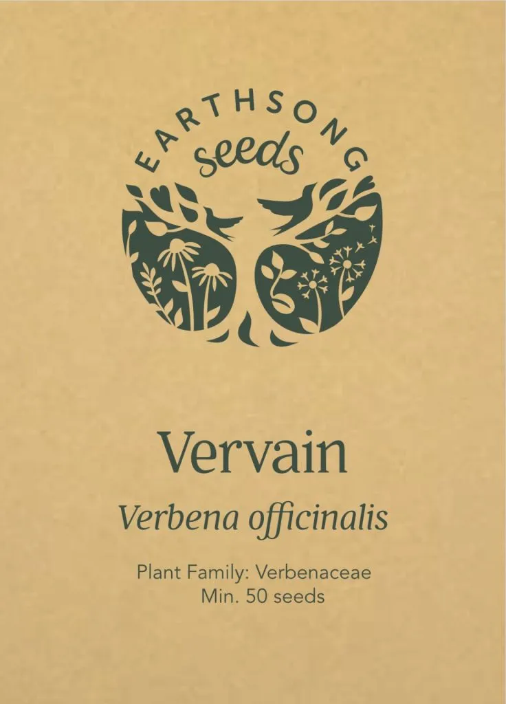 European Vervain Seed Pack