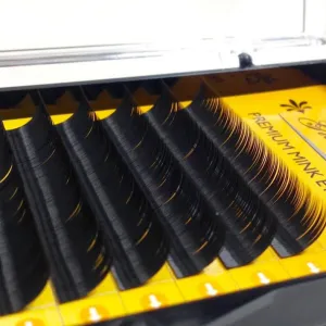 Glam Lashes eyelash extensions Mink, C-0.15-9mm