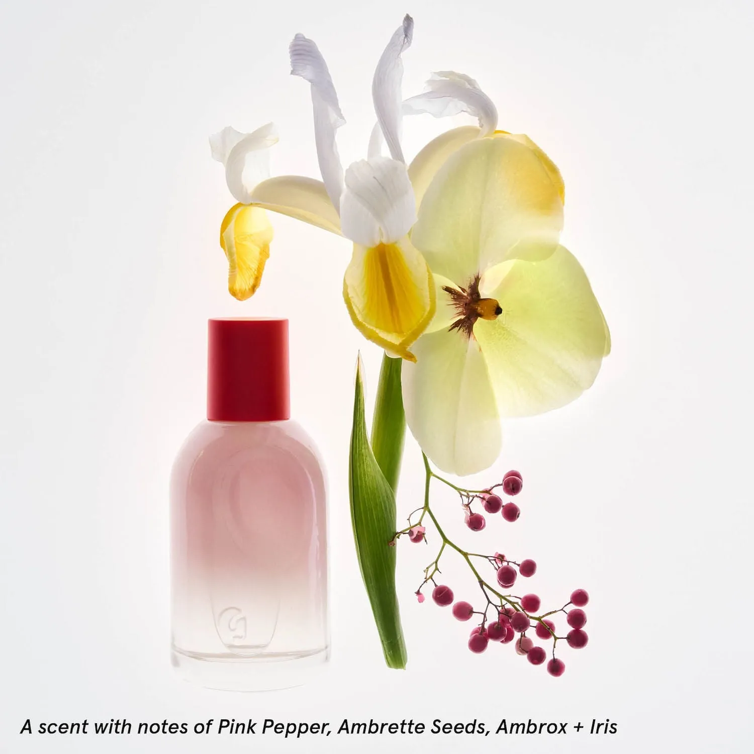 Glossier Glossier You Eau de Parfum Set