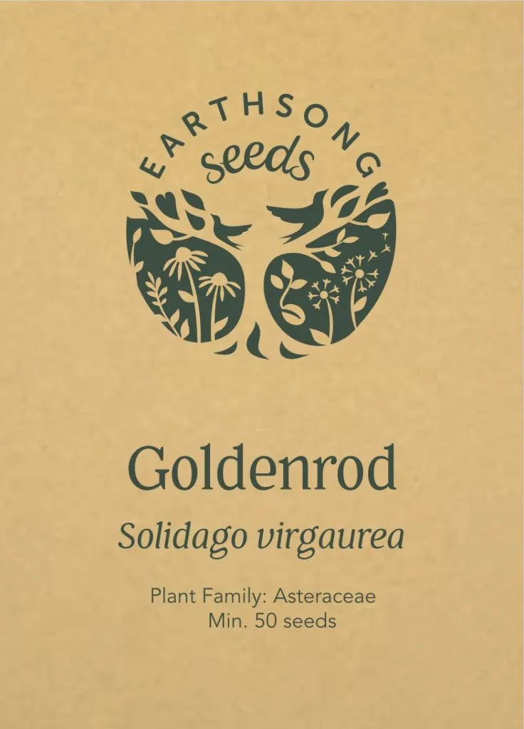 Golden Rod Seed Pack