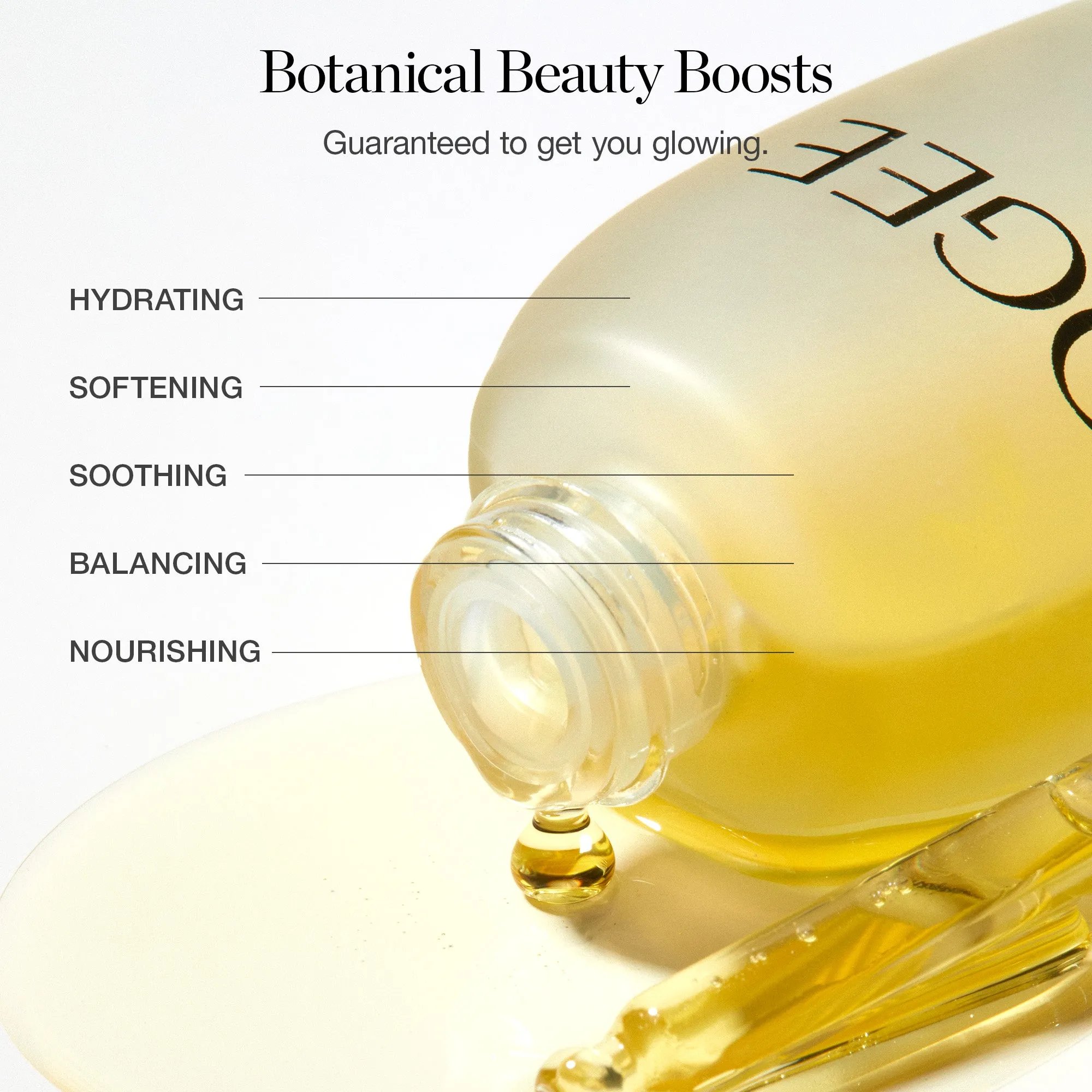 Jojoba Glow Face Oil Ogee
