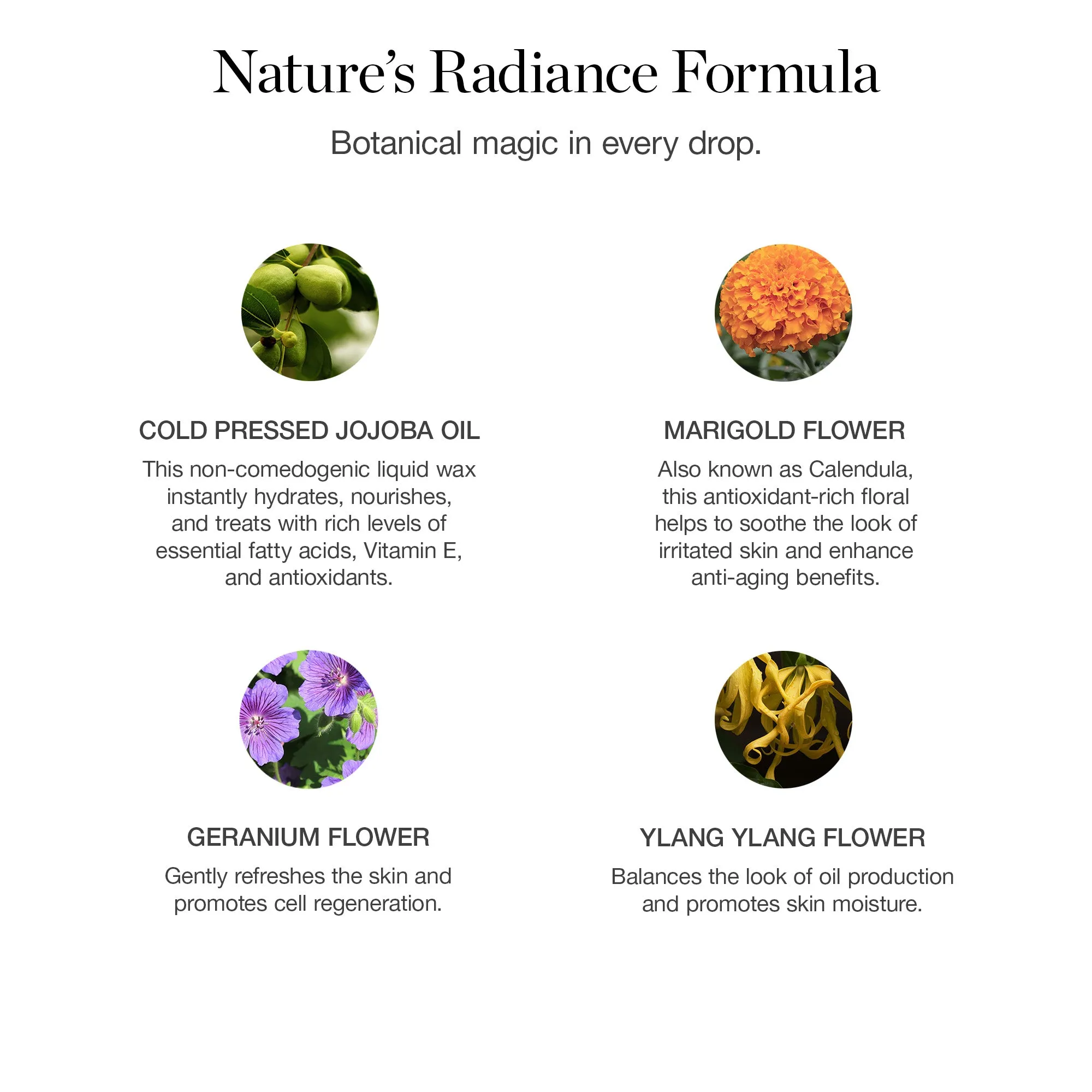 Jojoba Glow Face Oil Ogee