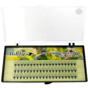 Liddy 10D VOLUME effect cluster eyelashes premade fans, final sale!