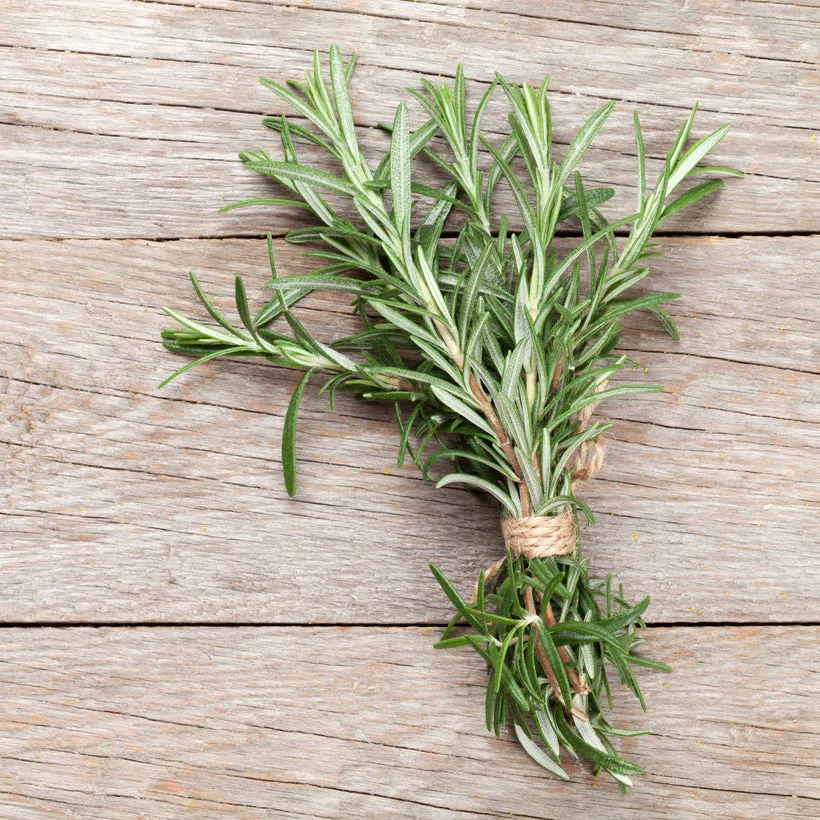 Mediterranean Herbs Seed Collection