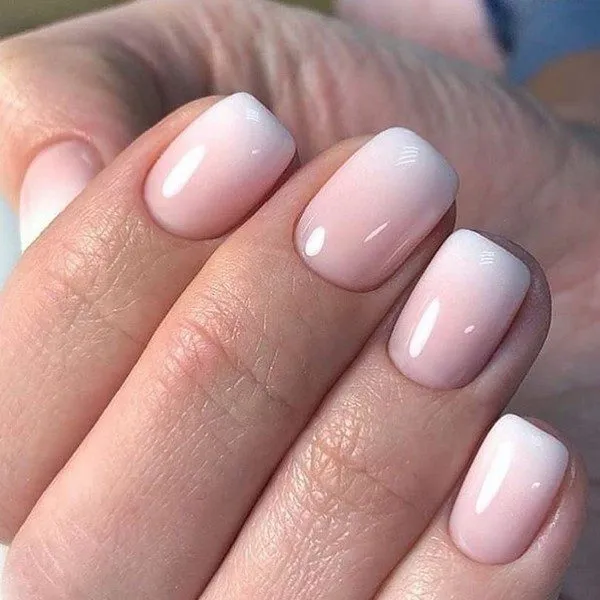Nail Design sponge   silicone for OMBRE effect