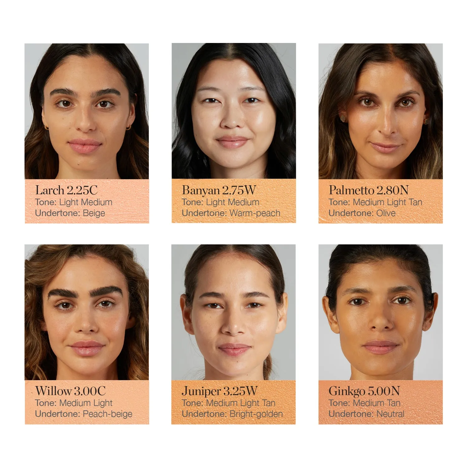 Sculpted Complexion Stick Ogee