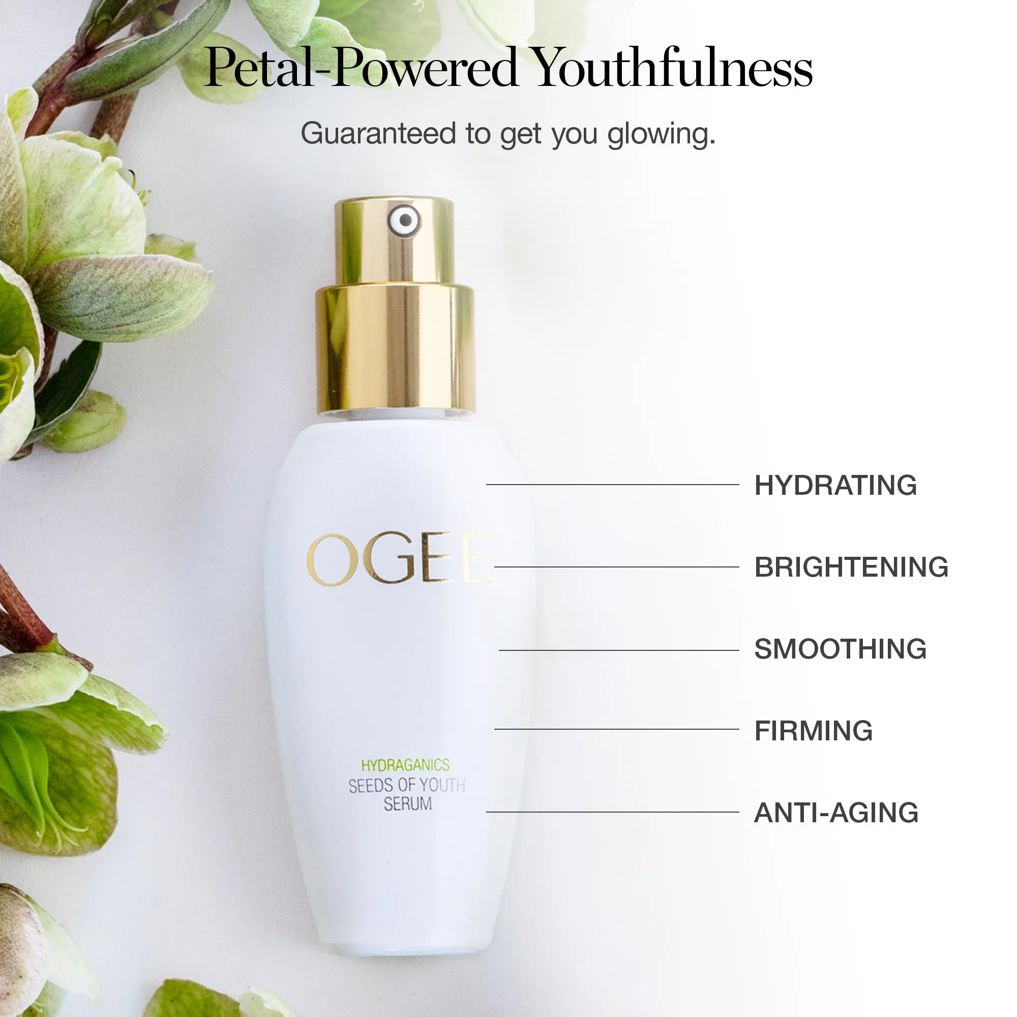 Seeds of Youth Serum Ogee