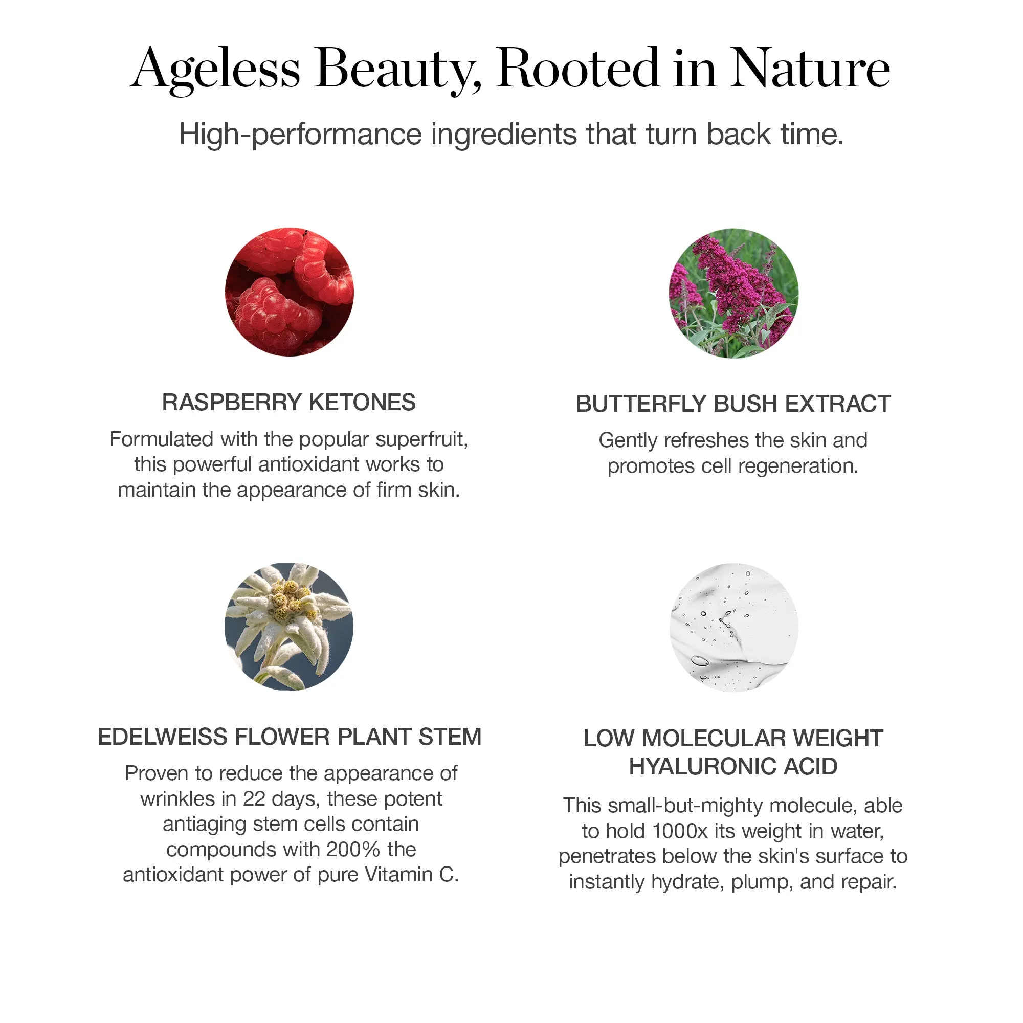 Seeds of Youth Serum Ogee