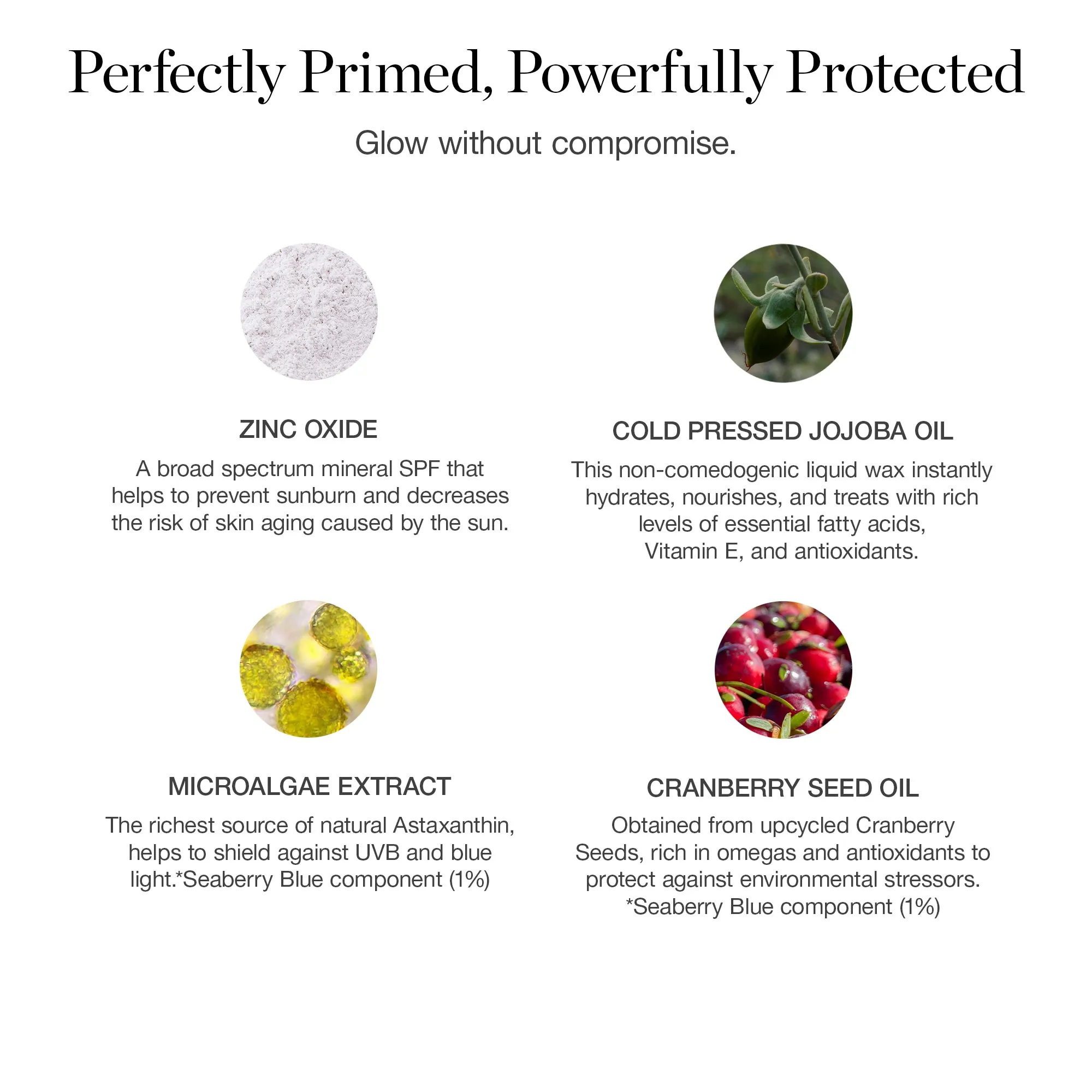 Skin Enhancing Primer SPF 40 Ogee