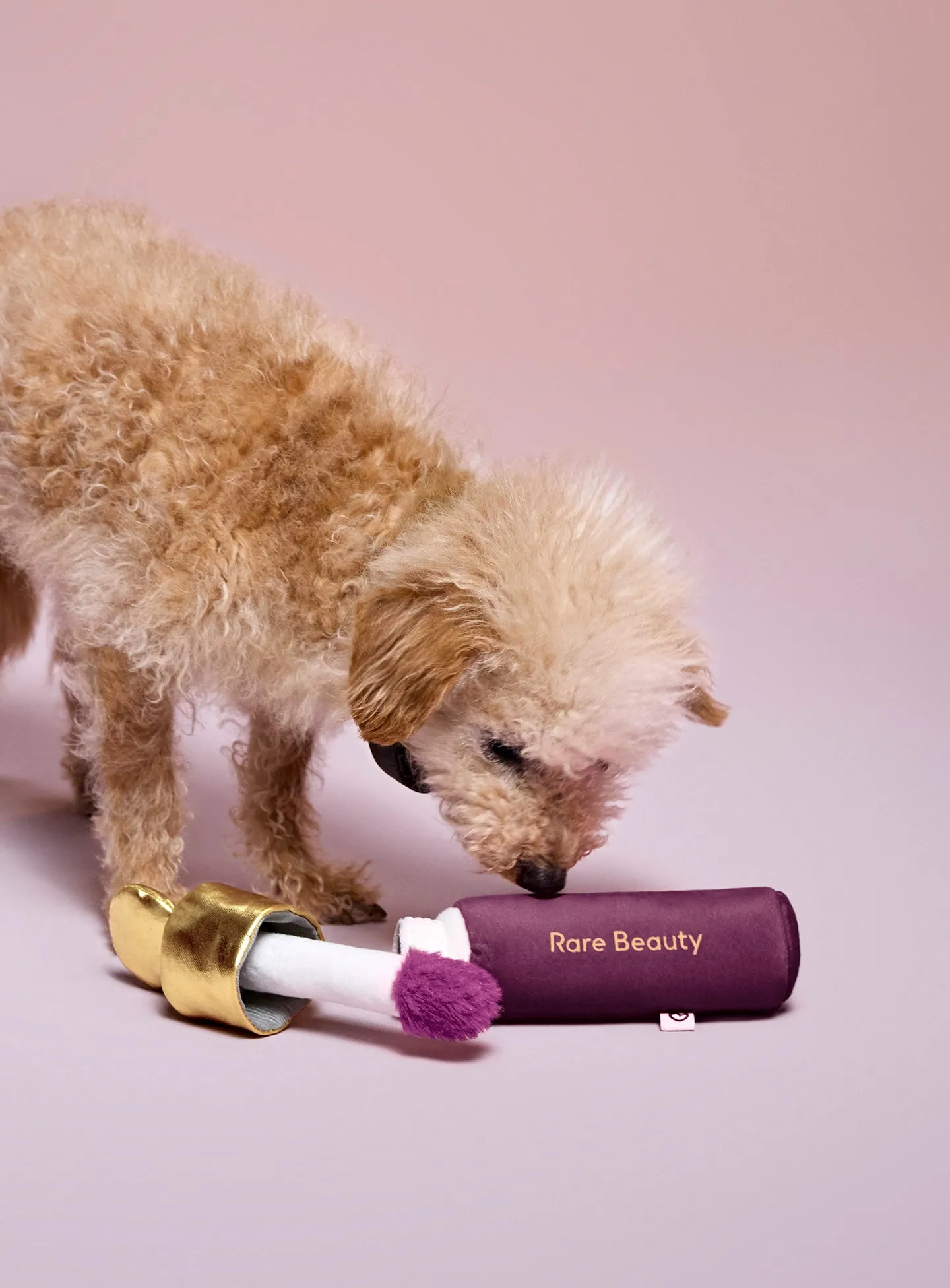 Soft Pooch Blush Dog Toy - Faith Rare Beauty