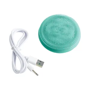Sonic Face and Body Brush