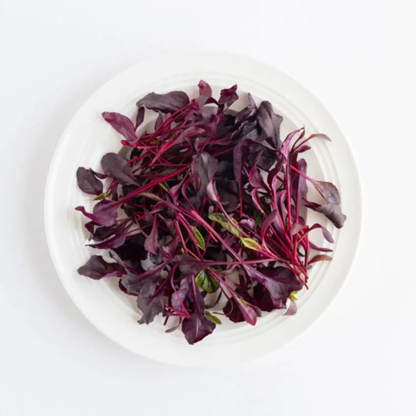 Specialty Leaves Seed Collection