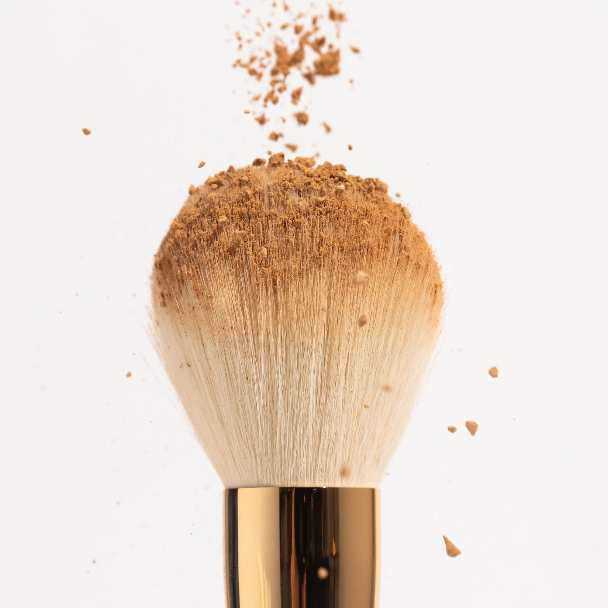 The Powder Brush Ogee