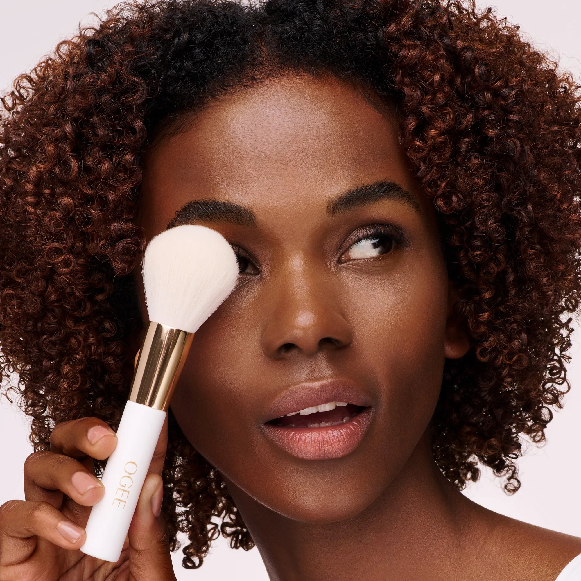 The Powder Brush Ogee