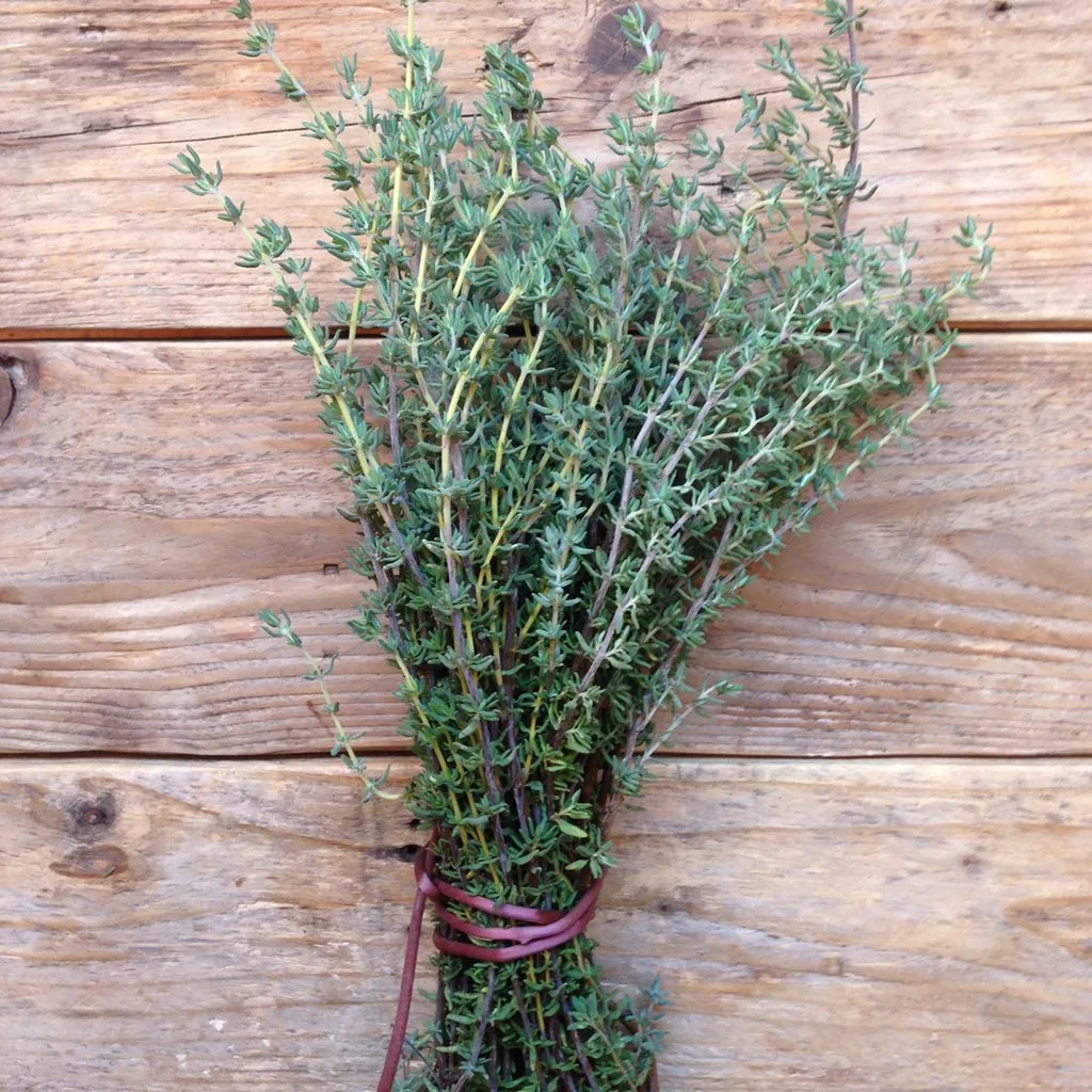 Thyme de Provence Seeds