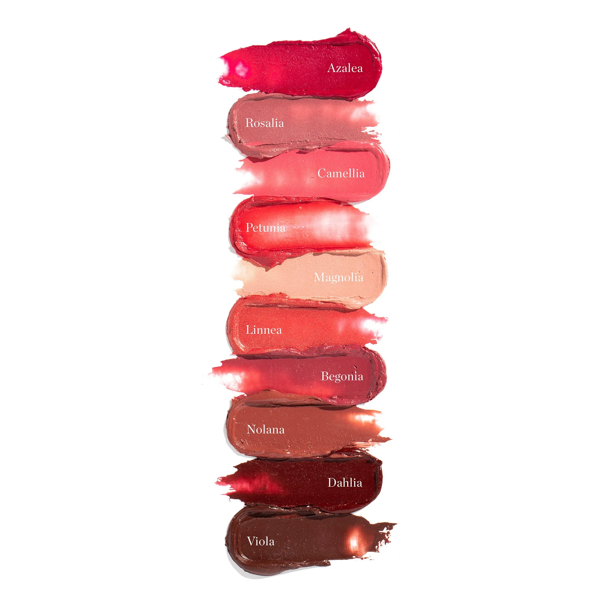 Tinted Sculpted Lip Oil Ogee