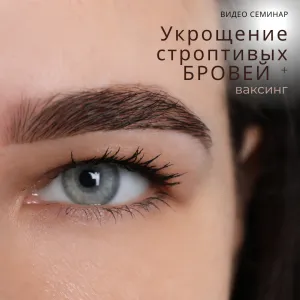 VIDEO семинар с Ольгой Прикуле "Укрощение строптивых БРОВЕЙ   Ваксинг"