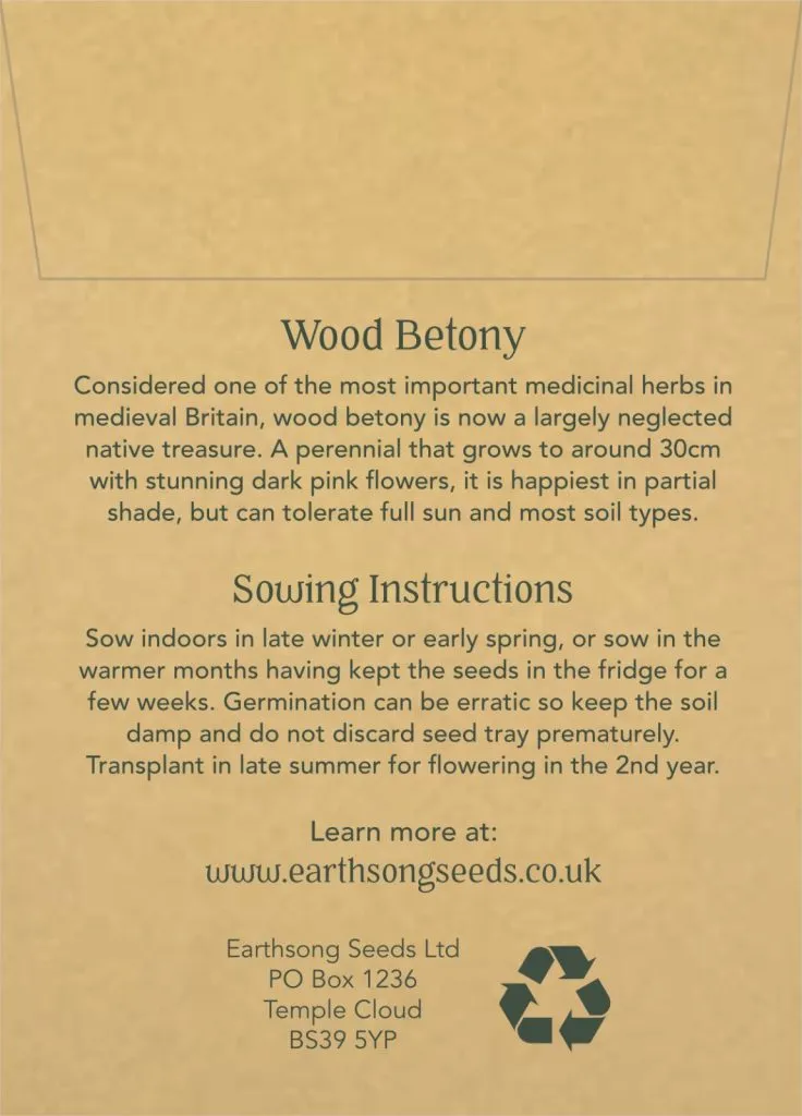 Wood Betony Seed Pack
