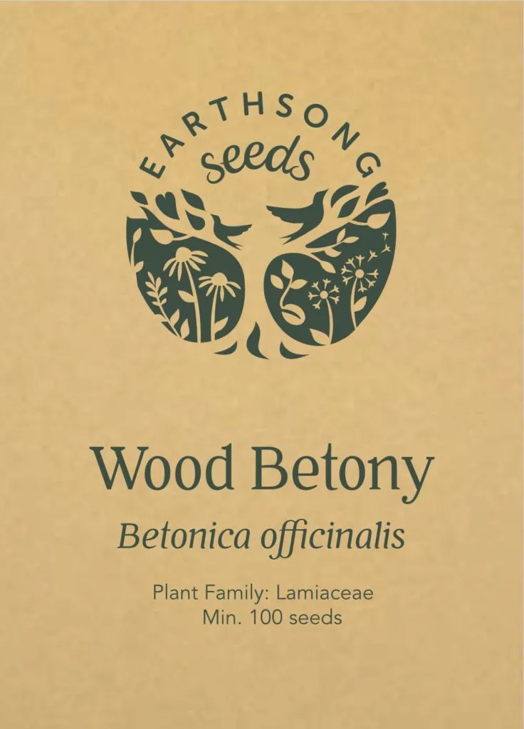 Wood Betony Seed Pack