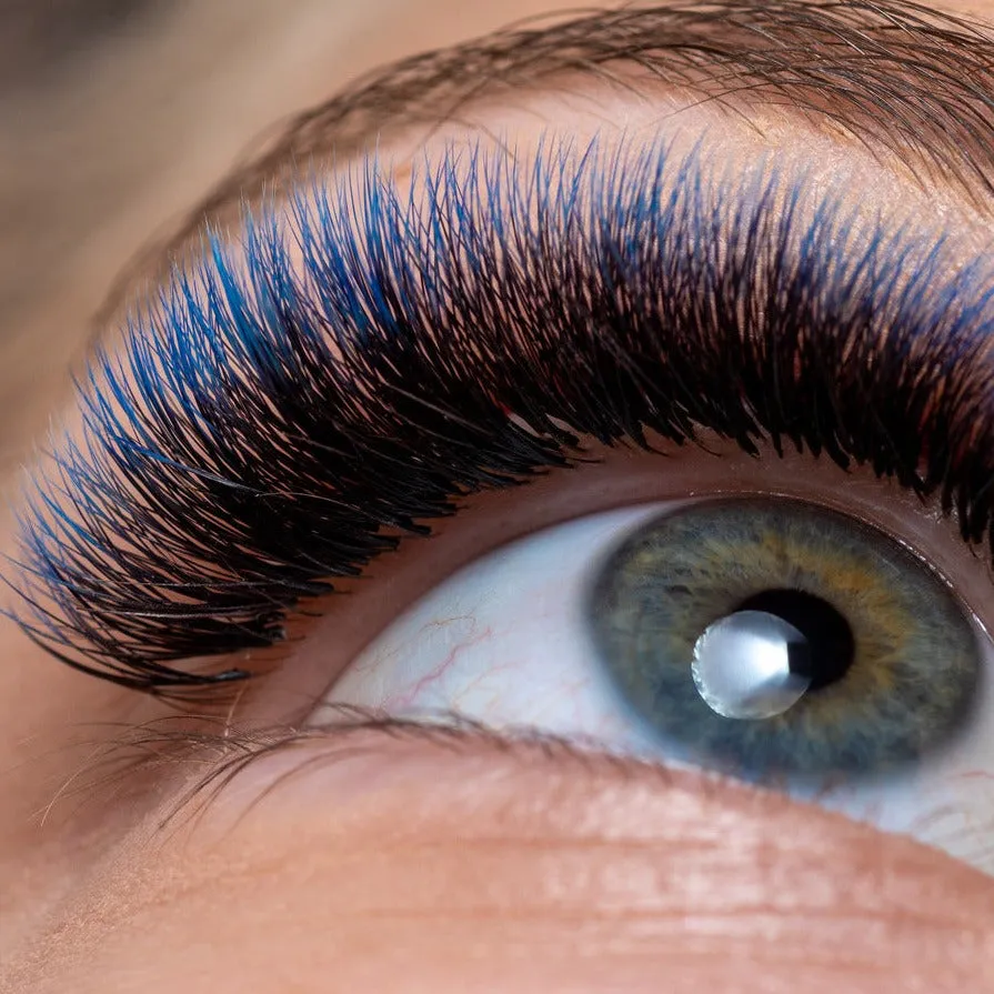 Xclusive Lashes Ombre black   blue eyelash extensions MIX, C shape