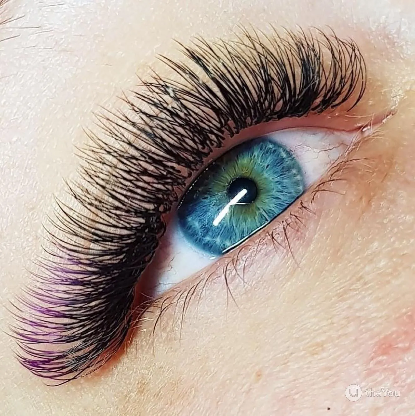 Xclusive Lashes Ombre black purple eyelash extensions MIX, C shape