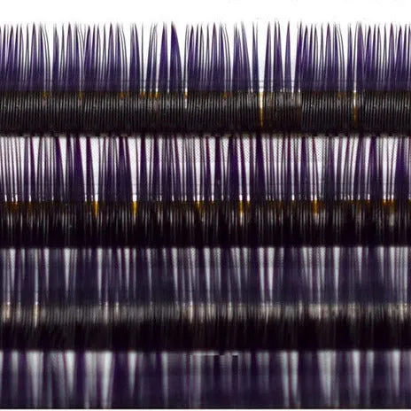 Xclusive Lashes Ombre black purple eyelash extensions ONE SIZE, C shape