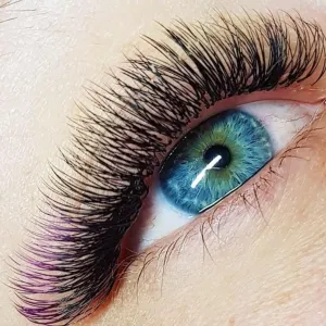 Xclusive Lashes Ombre black purple eyelash extensions ONE SIZE, C shape